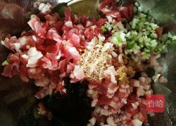 白菜水饺的做法图解3