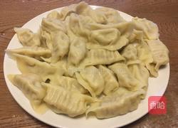 萝卜猪肉水饺的做法图解13