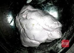 火龙果皮汤圆的做法图解5