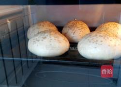 自制汉堡胚的做法图解9