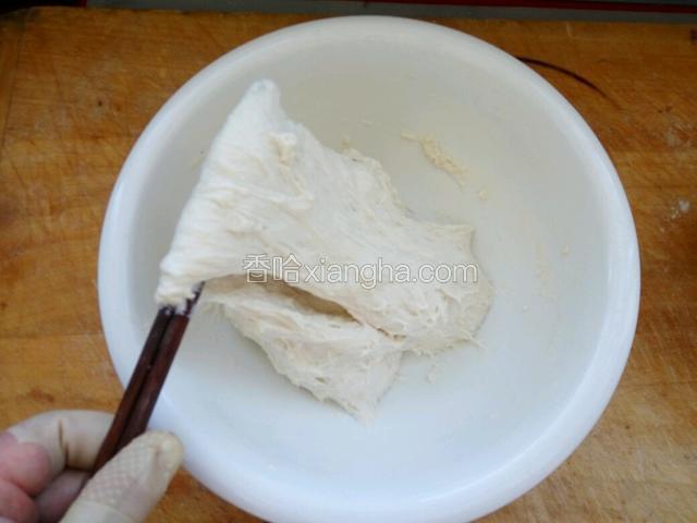面粉放入盆中用温热水和软，像这样用筷子能拉起，然后揉园盖上保鲜袋放一边松驰一小时以上(和面水温在50一6O度，天凉水温高点)