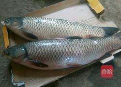 家常炖鱼的做法图解1