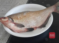 孔雀开屏的做法图解1