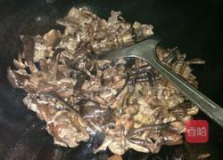 蘑菇炖翅中的做法图解6