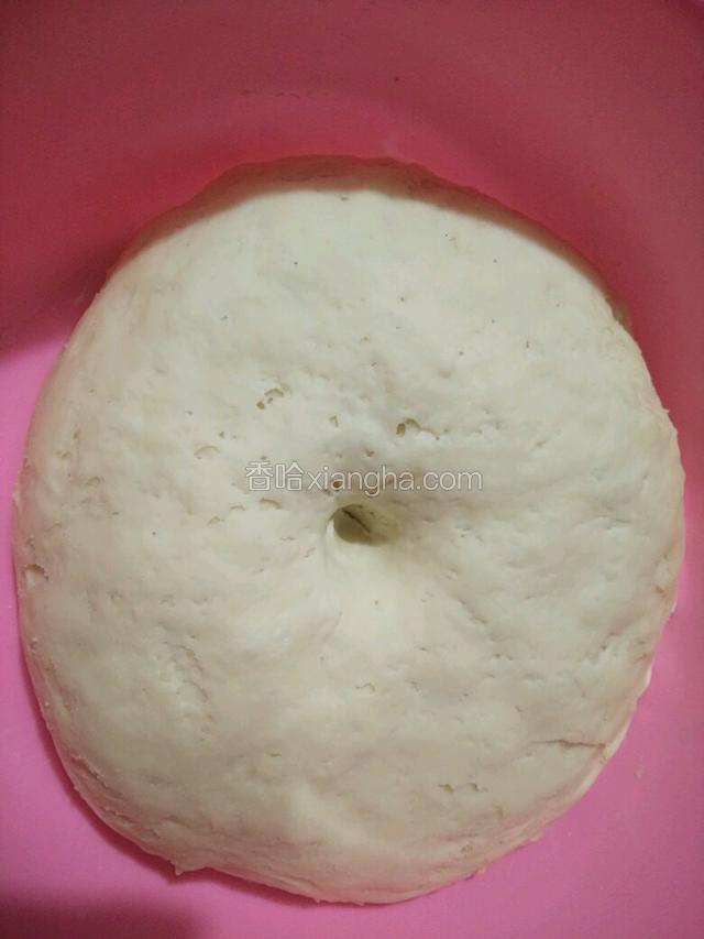 待面团发酵至原体积两倍大（这步按温度和酵母的多少自行掌握，我这里十五度四个多小时），用手指沾干面粉戳下去无回缩，发酵完成