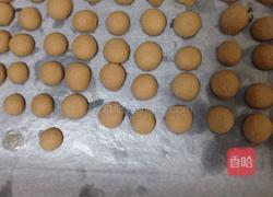 可可小酥球饼干的做法图解8