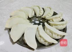 白萝卜肉馅菜饺子的做法图解17