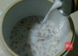 雪蛤膏炖椰奶的做法图解3