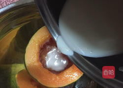 木瓜鲜奶冻的做法图解6