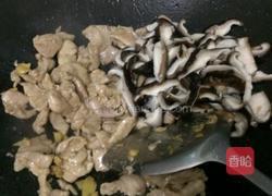 瘦肉炒蘑菇的做法图解7