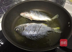 煎黄翅鱼的做法图解4