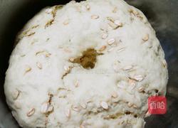 红薯燕麦馒头的做法图解5