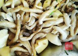 土豆炖蘑菇的做法图解7