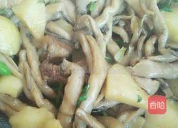 土豆炖蘑菇的做法图解9