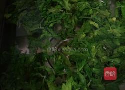 蒜泥拌芹菜叶的做法图解2