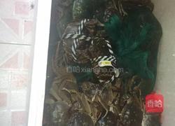 十三香毛蟹的做法图解3