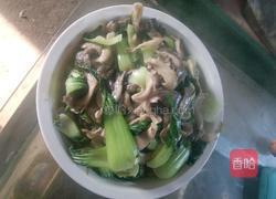 平菇油菜的做法图解8