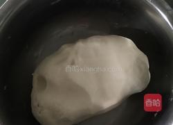 翡翠白菜水饺的做法图解2