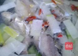 鲫鱼冬瓜养生汤的做法图解4