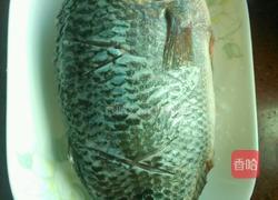 香煎罗非鱼的做法图解2