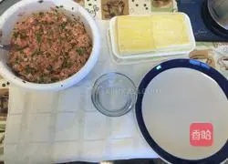 Illustration of how to make wontons 8