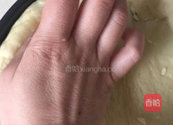 平菇披萨的做法图解9