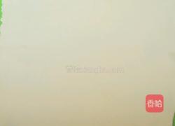 自制千层酥皮的做法图解22