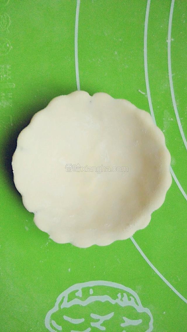 这种是菊花的