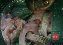 家炖白鲢鱼的做法图解2