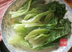 拌生菜。的做法图解2