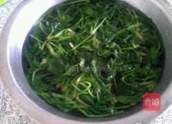 芥末菠菜的做法图解3