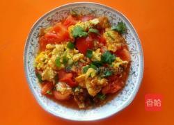 蕃茄炒蛋的做法图解6