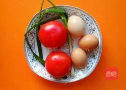 蕃茄炒蛋的做法图解1