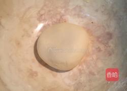 芝麻红豆小面包的做法图解3