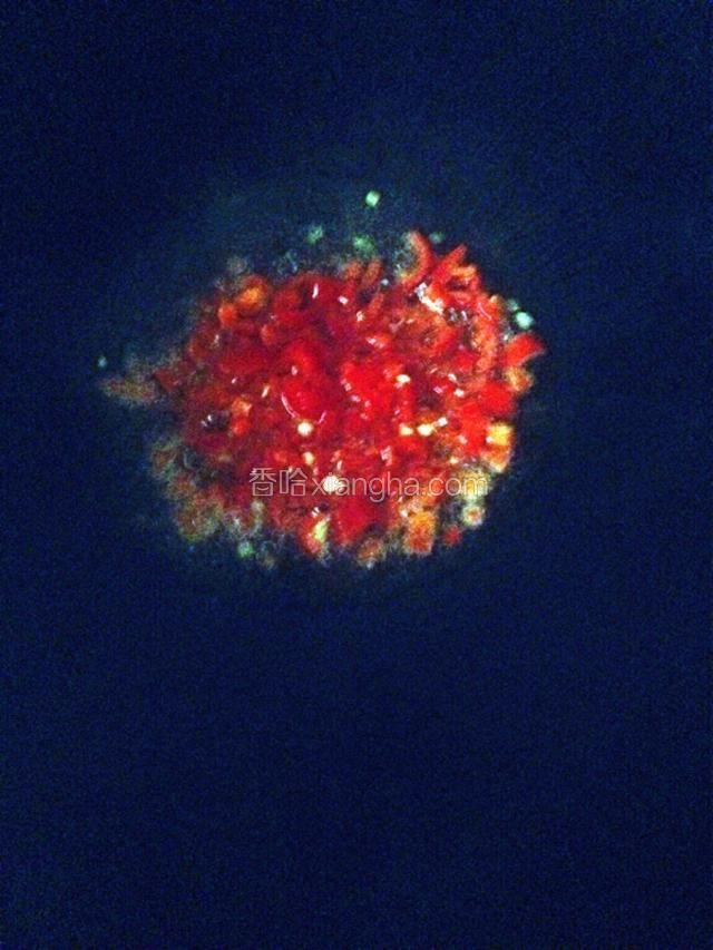 锅里放少许油爆香辣椒