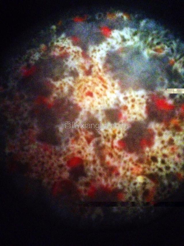 加入一碗水，白糖少许，盐少许，胡椒粉少许，另用一个小碗加少许水和生粉调成汁，倒锅里勾欠