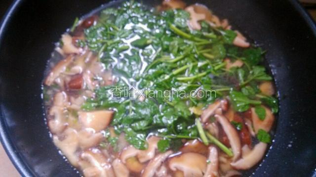 放入西洋菜，继续大火煮沸，加入适量盐调味，放入一勺鸡粉提香。