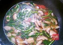 西洋菜香菇汤的做法图解9