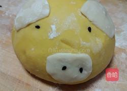 花式南瓜馒头的做法图解16