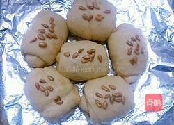 燕麦瓜仁椰蓉包的做法图解14