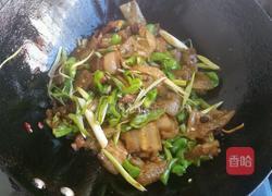 苕皮回锅肉的做法图解10