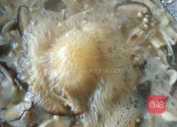 菌汤的做法图解4