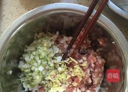 猪肉大葱饺子的做法图解4