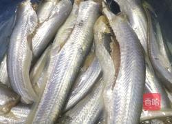 香煎凤尾鱼的做法图解1