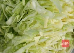 酸辣包菜的做法图解1