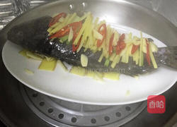 清蒸石斑鱼的做法图解5