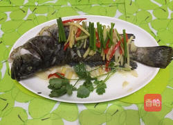 清蒸石斑鱼的做法图解8