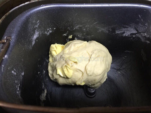 20分钟后 放入室温下软化的黄油 继续下一个快速和面功能 20分钟 直到出膜