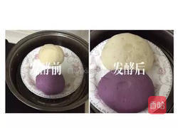 花开紫薯馒头的做法图解3