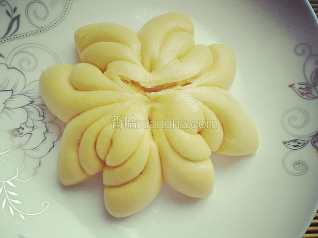 面食菊花